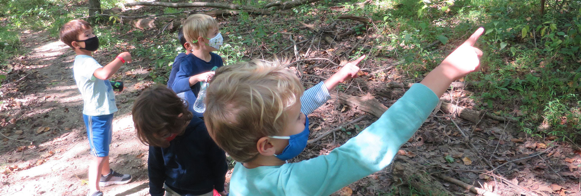 children outside in woods pointing